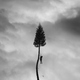 Manchester Orchestra - The Sunshine