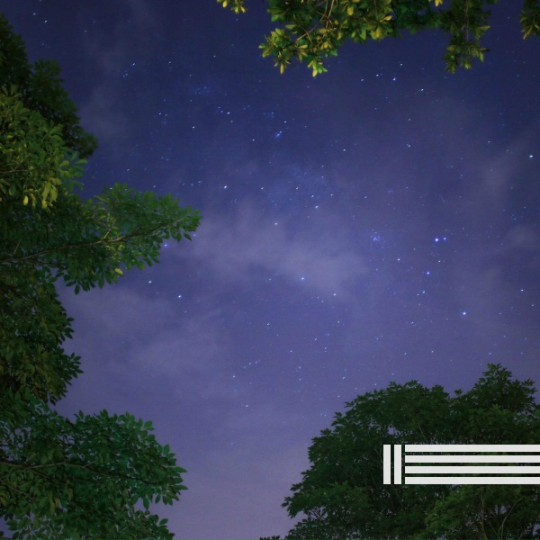 Night Sounds, Cricket Sounds, Sounds of Nature Zone - Quiet Birds (Loopable)