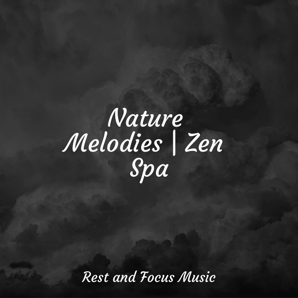 Medita&ccedil;&atilde;o Clube, White Noise Sleep Sounds, M&uacute;sica para Relaxar Maestro - A Calm Forest