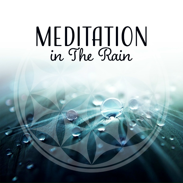 Meditation - Stronger Wind