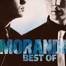 Morandi - Colors