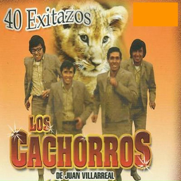 Los Cachorros de Juan Villareal - Los Desvelos De Mi Madre