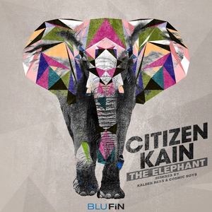 Citizen Kain - The Elephant