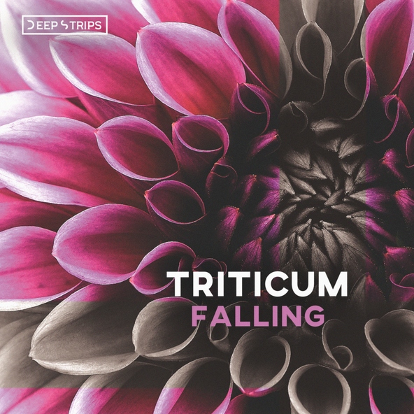 TRITICUM - Falling