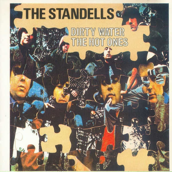 The Standells - Why Did You Hurt Me