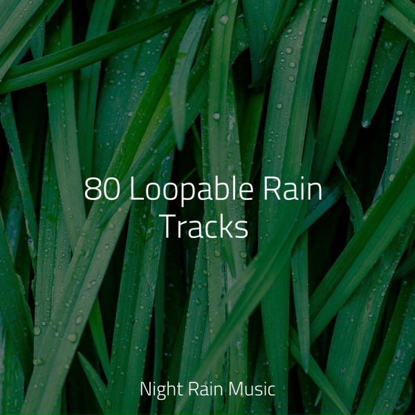 Deep Sleep Brown Noise, Relaxing Rain Sounds, ASMR Sleep Sounds - Surface Rain