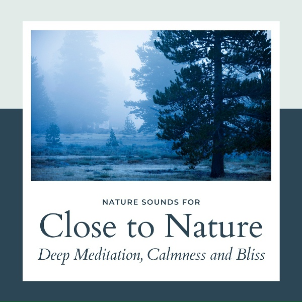 Cosmic Meditation and Soul Awakening Project - In Nature's Lap