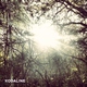 Kodaline - All I Want