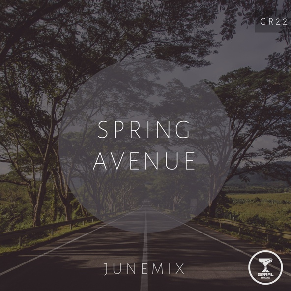 Junemix - Echoes