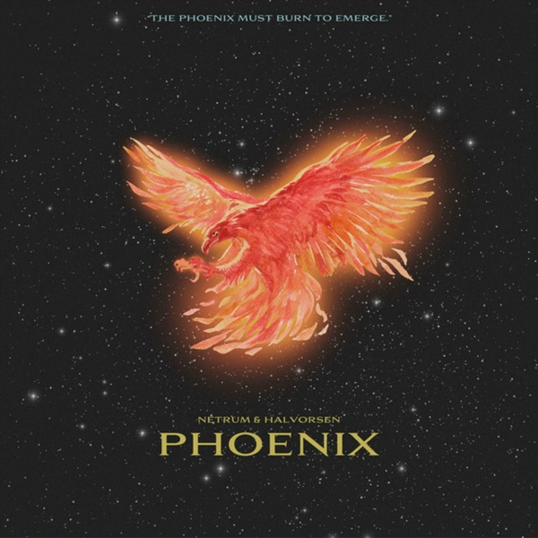 Netrum, Halvorsen - Phoenix