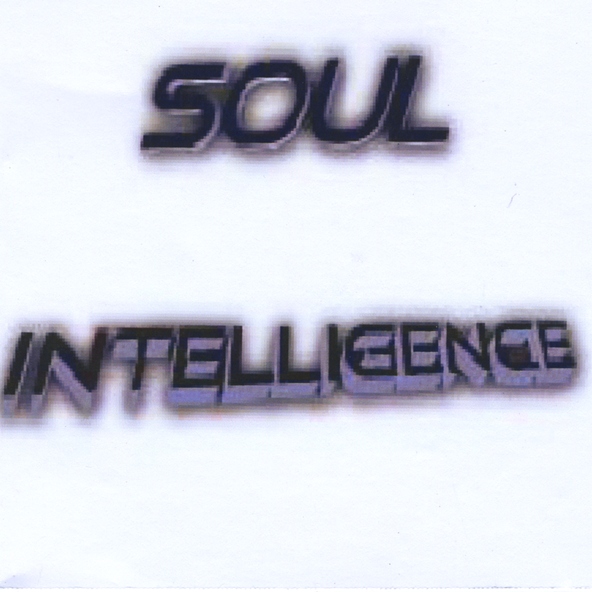 Soul Intelligence - Outlaw