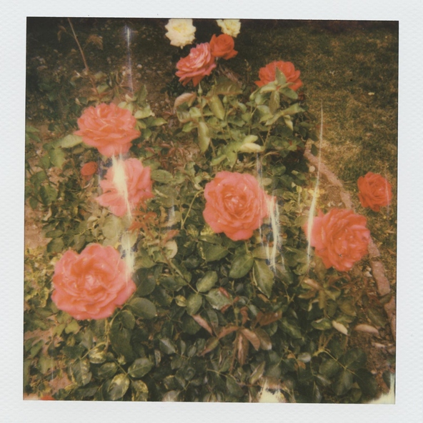 girl in red - i need to be alone.