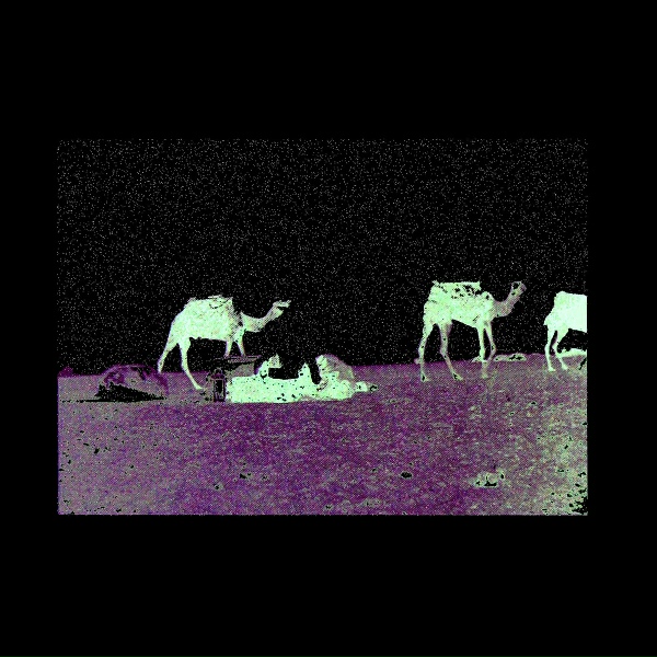 Celer - Within the Horizon