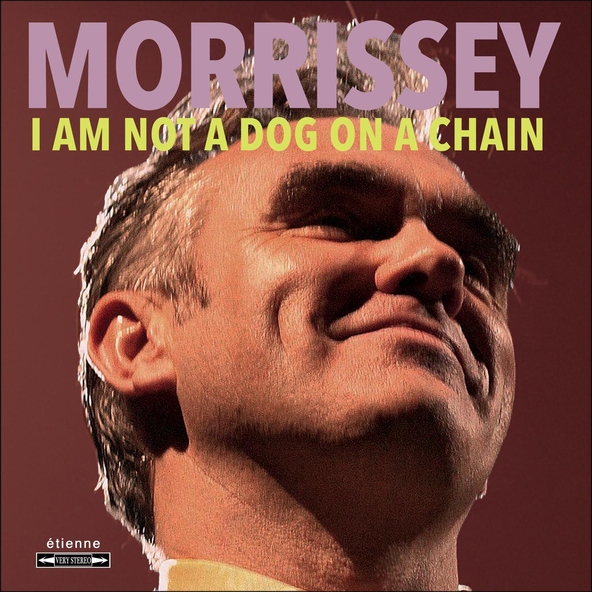 Morrissey - Darling, I Hug a Pillow