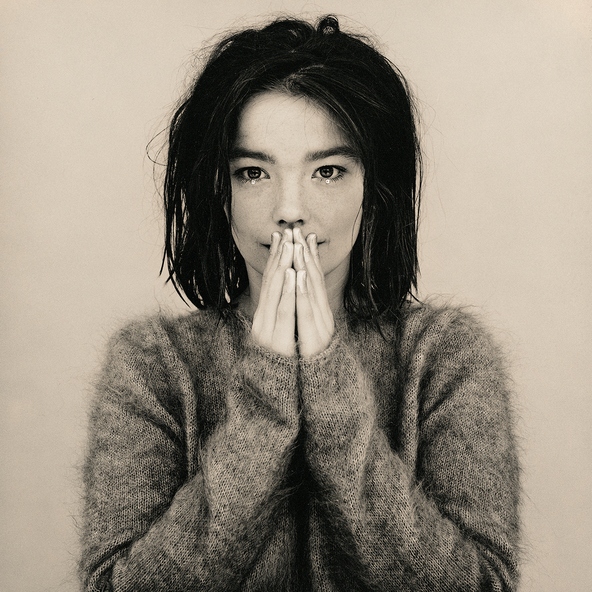 Bj&ouml;rk - Human Behaviour