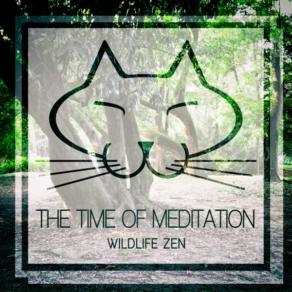 The Time Of Meditation - Time Arrow