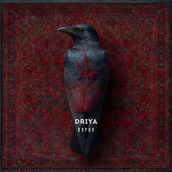 DRIYA - ворон