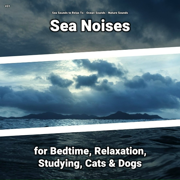 Sea Sounds to Relax To, Ocean Sounds, Nature Sounds - Ocean Sounds