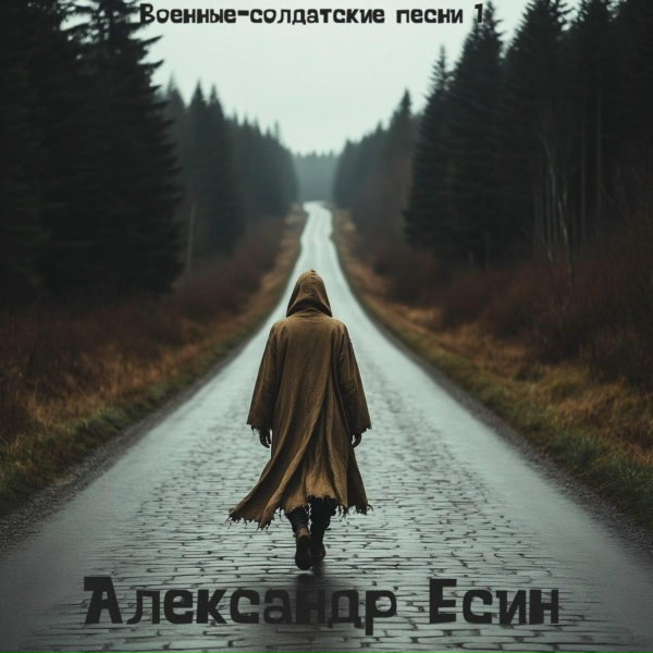 Александр Есин - Солдат на дискотеке