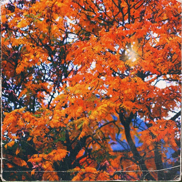 Kevoe West - Autumn