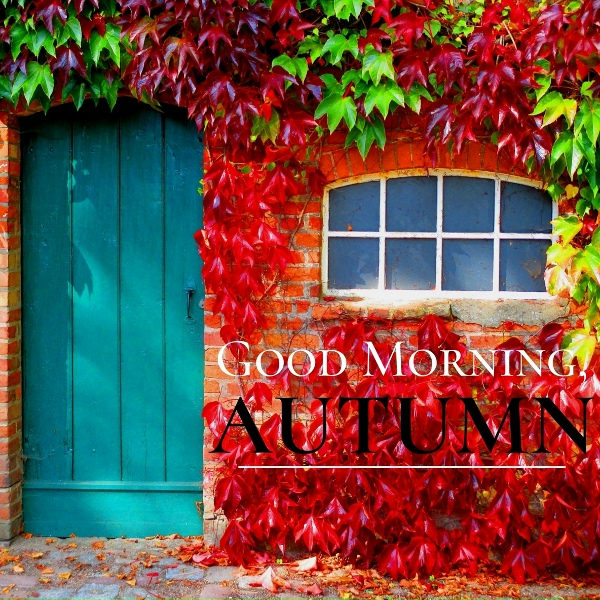 Relax &alpha; Wave - Music in the Morning