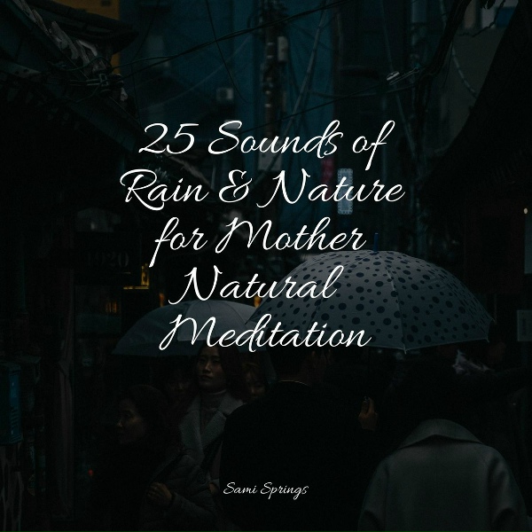 Happy Baby Lullaby Collection, Deep Sleep Relaxation, Chakra Balancing Sound Therapy - Windy Rain Weather