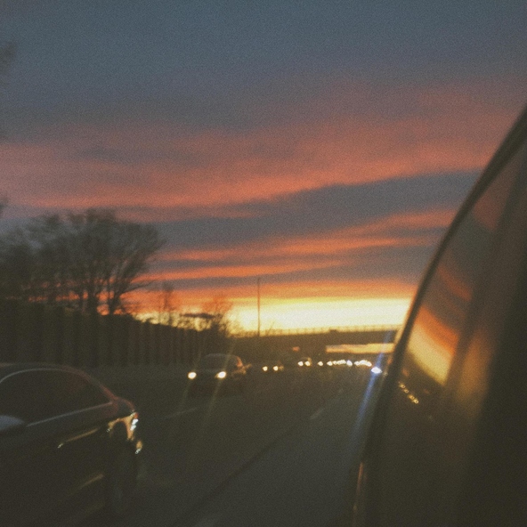 familypet - could have been