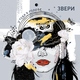 Звери - Котёнок
