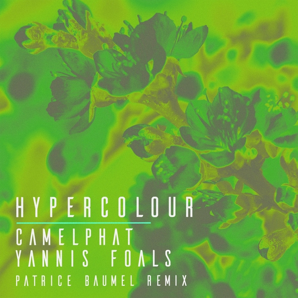 CamelPhat & Yannis from Foals