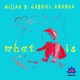 Misjah, Gabriel Ananda - Misjah - What Is