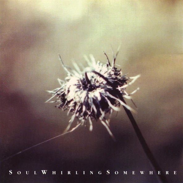 Soulwhirlingsomewhere - soaked & captured
