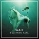 Suleyman Kaya - Wait
