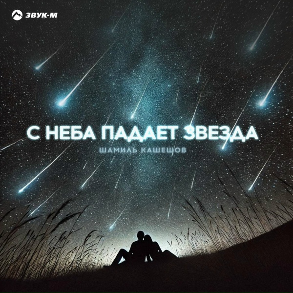 Шамиль Кашешов - С неба падает звезда