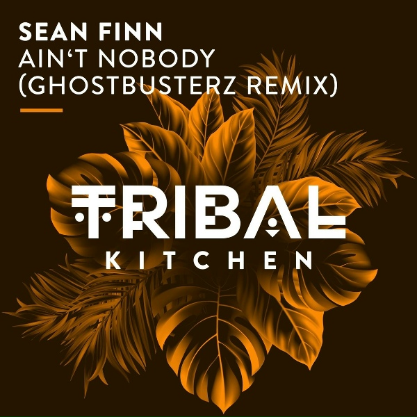Sean Finn - Ain't Nobody