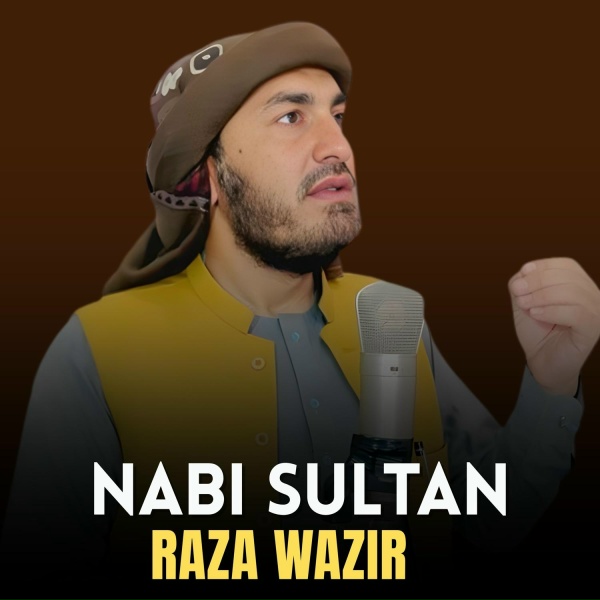 Raza Wazir - Lagedali Pa Zargi Yam