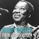 Muddy Waters - Manish Boy