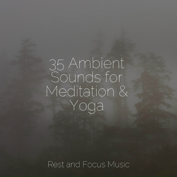 Academia de M&uacute;sica para Massagem e Relaxamento, Zen, Baby Sleep Music - Swaying Long Grass