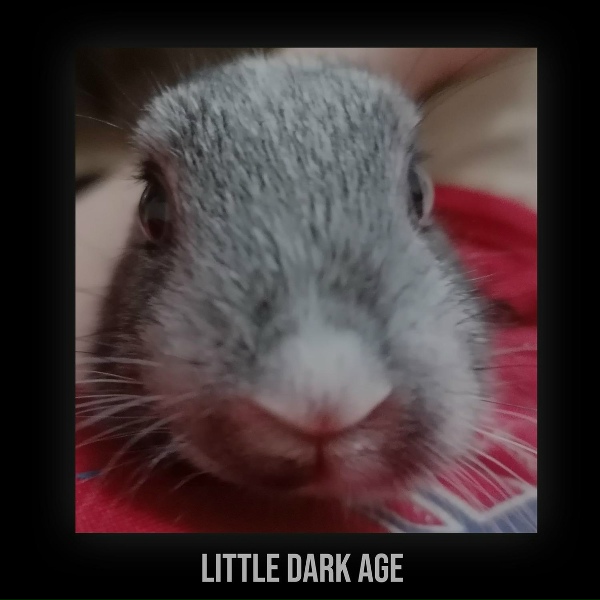 ardared - little dark age