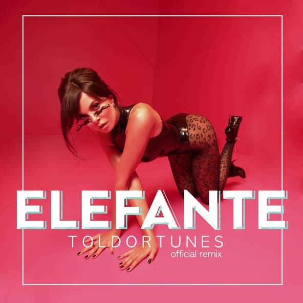 NK - Elefante