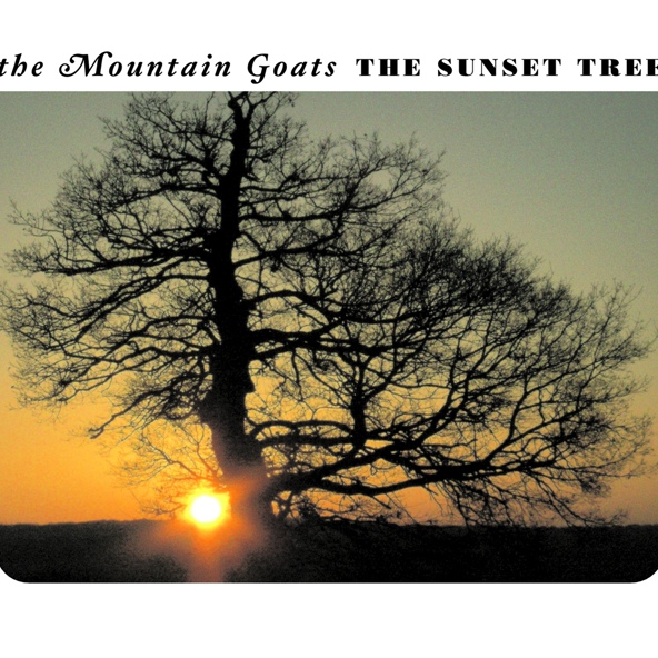 The Mountain Goats - This Year