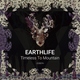 EarthLife - Frames Of Berlin (Original Mix) (Original Mix)
