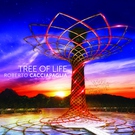 Royal Philharmonic Orchestra, Roberto Cacciapaglia - Tree of Life Suite: Wild Side