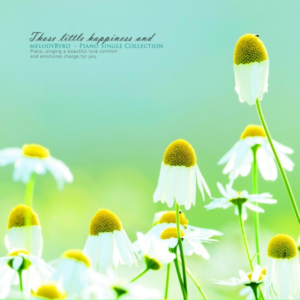 Melody Bud - Little happiness gathered
