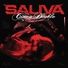 Saliva - How Could You? (Album Version) (Album Version)