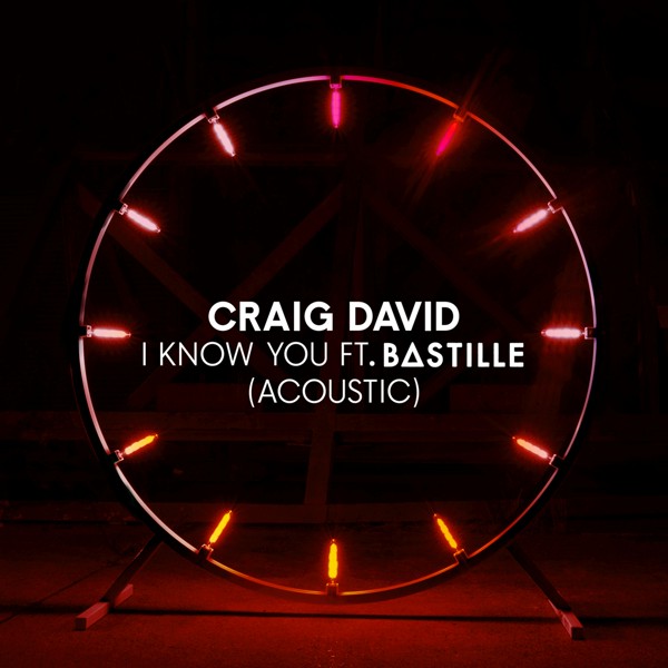 Craig David feat. Bastille - I Know You