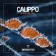 Calippo - Good for You (Instrumental Mix) (Instrumental Mix)