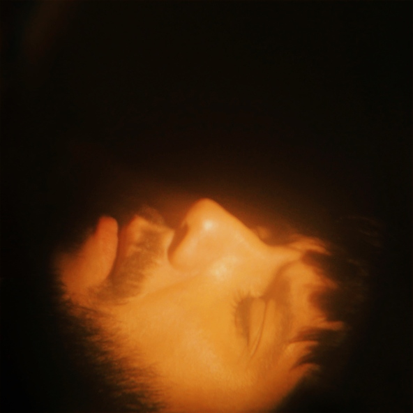 SoMo - Cinema