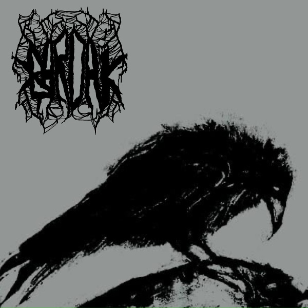 Bardak - Пусты листы