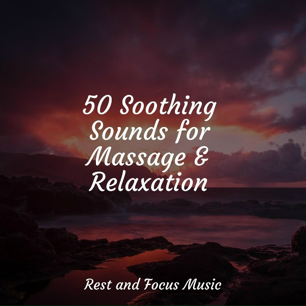 Regenger&auml;usche, Natureza Musica Bem-Estar Academia, Academia de Medita&ccedil;&atilde;o Buddha - Peaceful Forest Wind
