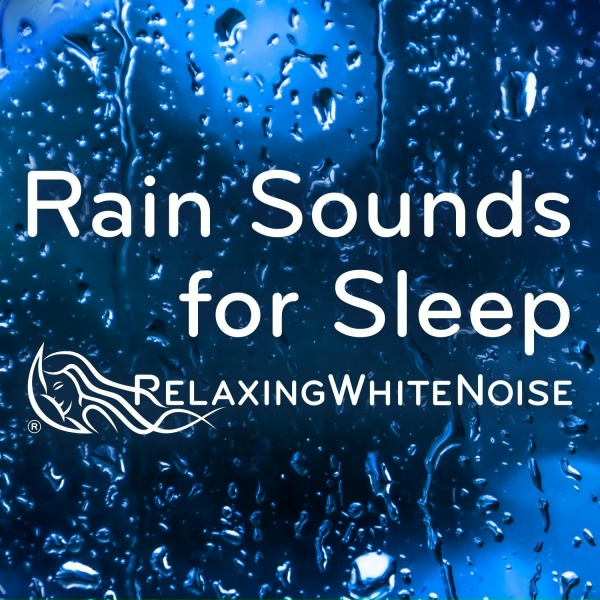 Relaxing White Noise - Light Rain in the Woods Relaxing Rainstorm (Loopable, No Fade)
